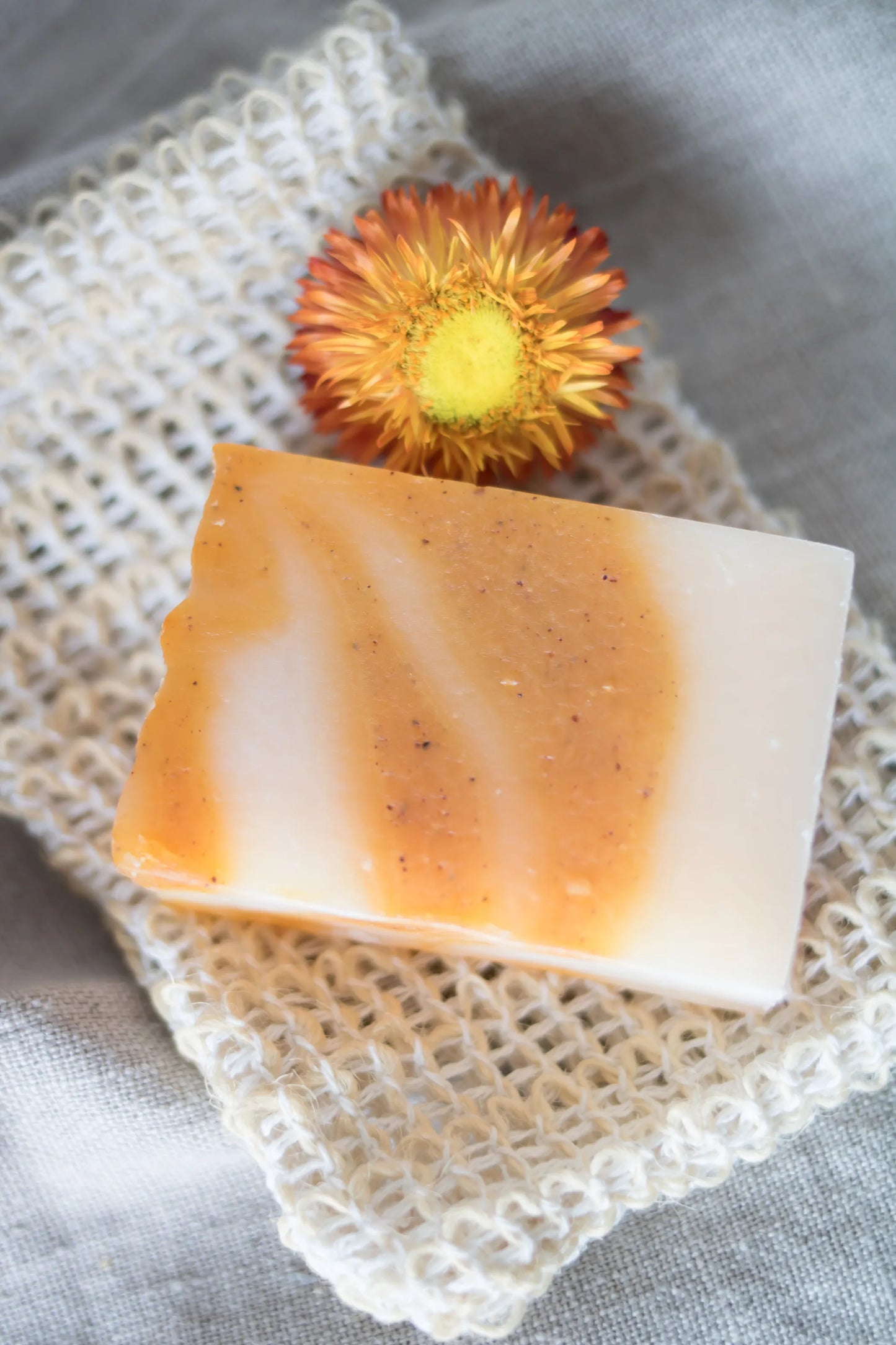 Crossbreeding - Indian Verbena