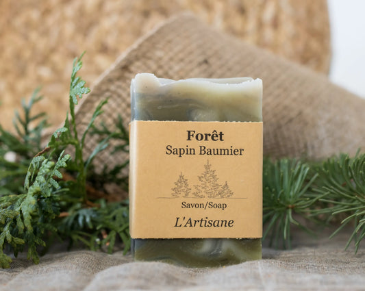 Forest - Balsam fir