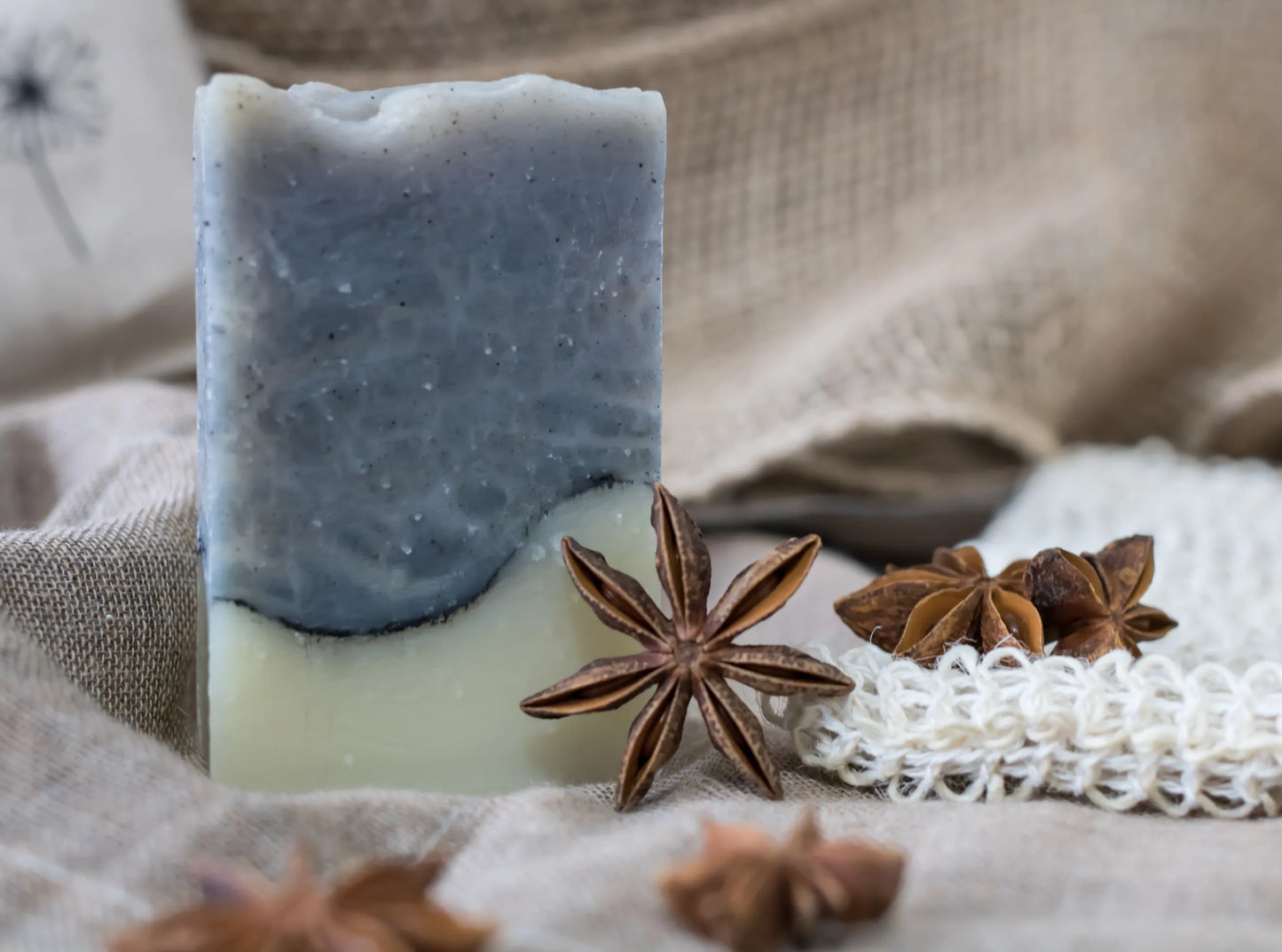 Stardust - Star Anise